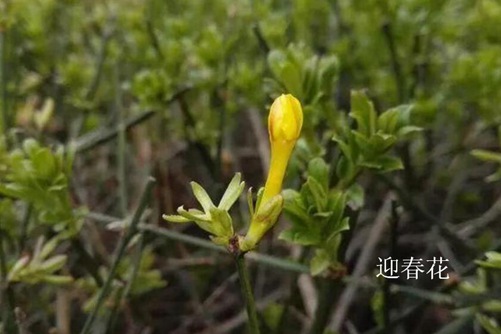 风光用镜头——婷婷久久香蕉五月综合，捕捉大地的韵律与灵魂